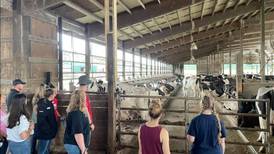 Virtual field trip held at dairy farm