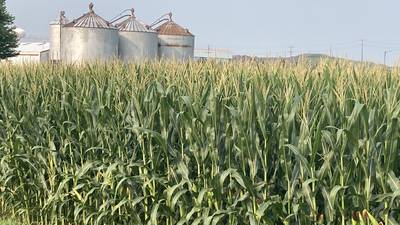Illinois crop progress for week ending Aug. 3