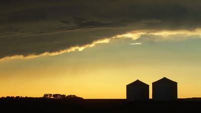 Year-over-year soybean stocks rise