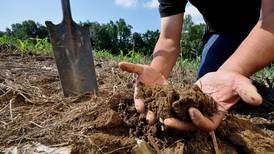 New study highlights crop insurance’s role in maintaining healthy soil
