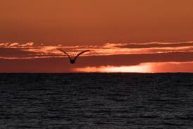 From loss to resilience: Advice for how to manage grief