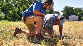 Cargill surpasses 1 million enrolled acres in Cargill RegenConnect
