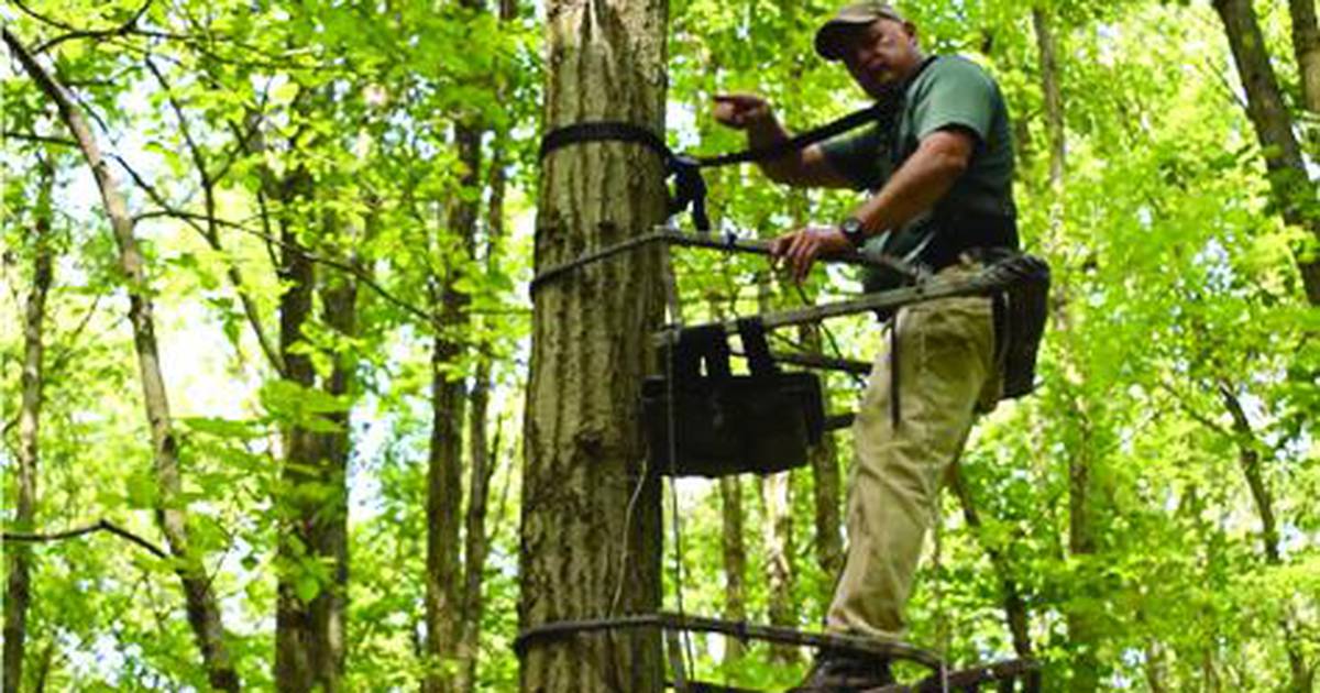 Tree stand safety for deer hunters starts on the ground AgriNews