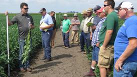 Trials focus on improved plant, soil health