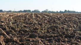 Corteva Agriscience creates new Carbon and Ecosystems Services portfolio