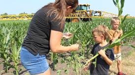 From the Fields: Break in the heat
