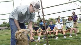 Marquette Academy students get sheep shearing lesson
