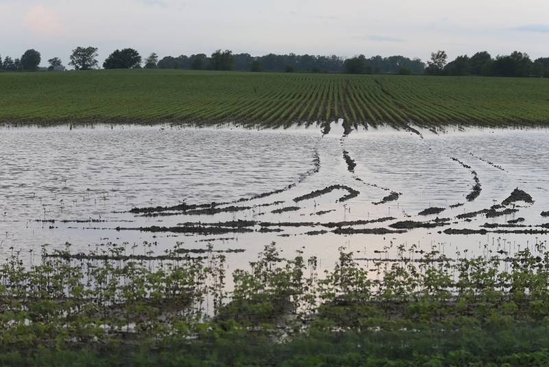 The Ag Climate Dashboard offers tools to help monitor extreme weather events in addition to crop growth, pest threats and climate anomalies.