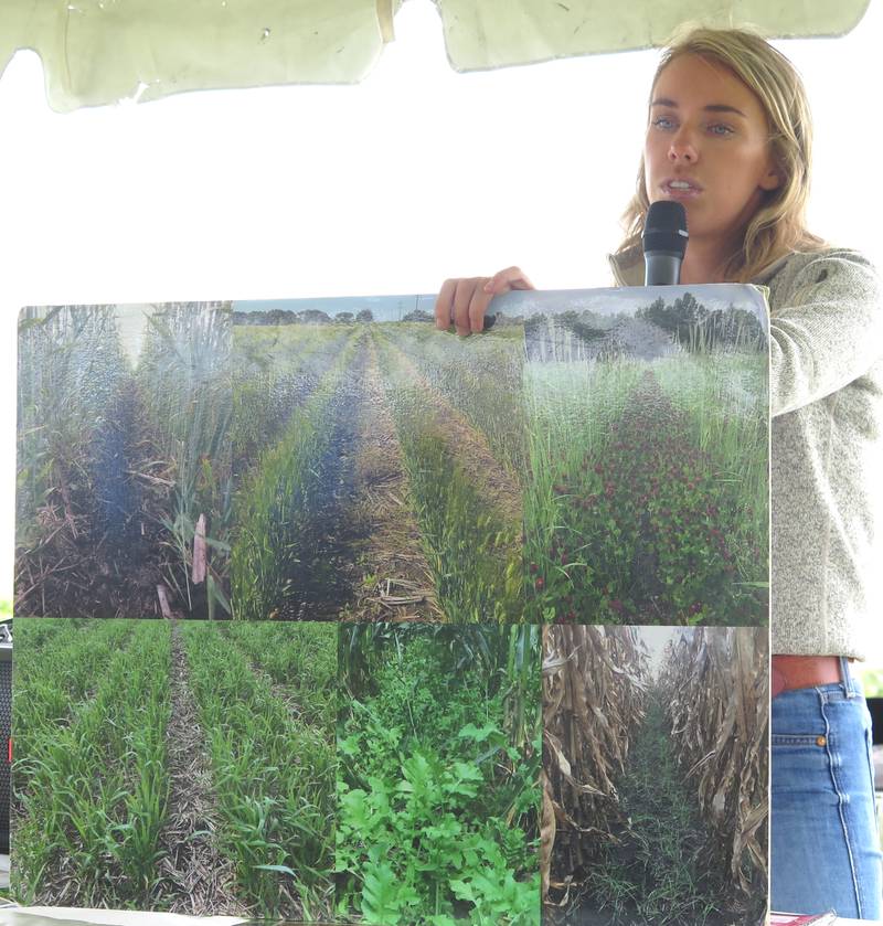 Abigail Peterson, Illinois Soybean Association director of agronomy, shows cover crop examples during a recent field day near Hoopeston. Peterson also highlighted ISA’s expanded investments in research.