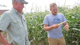 From the Fields: ‘Wheat was exceptional’
