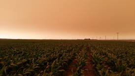 Wildfire smoke affects Midwest crops