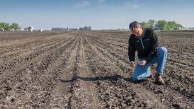 Maximize corn yield potential in 2022