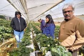 Hydroponic crop production workshop will be offered for home and commercial growers