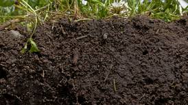 Economics of soil health: Study shows economic benefits of soil health practices