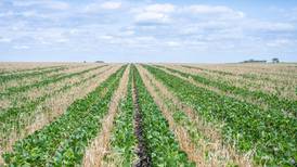 Initiative seeks to double cover crops by 2030