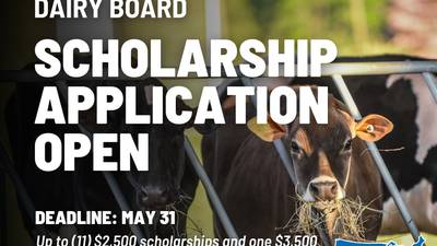 National Dairy Board scholarship applications accepted