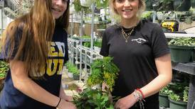 School’s greenhouse plants seeds for the future