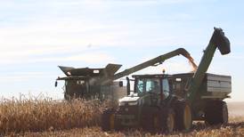 Each year of farming is a new lesson
