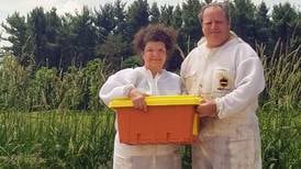 Have bees, will travel: Specialty honey farm adds sweetness, more to lives
