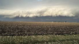USDA natural disaster designations for Illinois