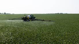 Plan ways to manage pest, disease pressure