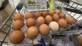 Trump administration sues California over egg prices and blames animal welfare laws