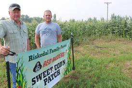 From the Fields: Summer rain has been ‘absolutely gorgeous’