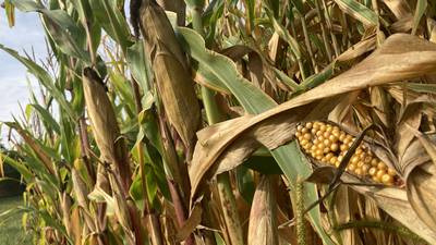 Illinois crop progress for week ending Sept. 21