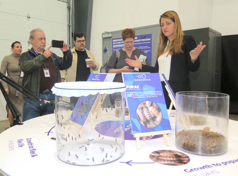 Maye Walraven (right), Innovafeed North American general manager, explains the black soldier fly’s lifecycle that was displayed for visitors at the pilot facility’s inaugural opening April 18.