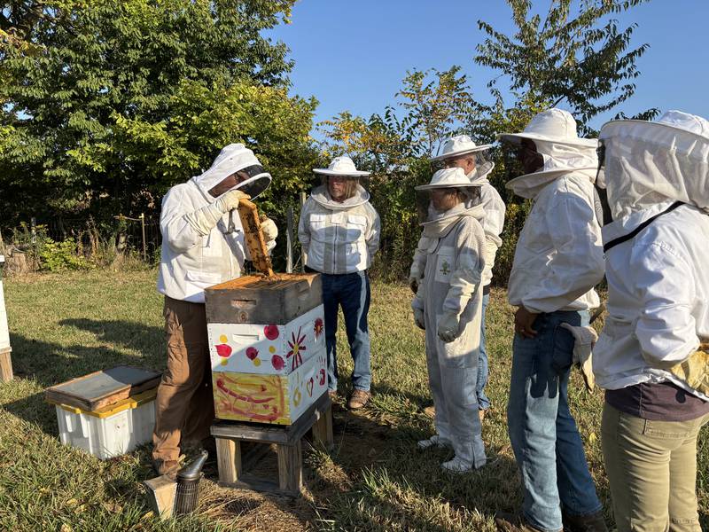 Joe Ricker (far left) teaches other veterans the art of beekeeping.