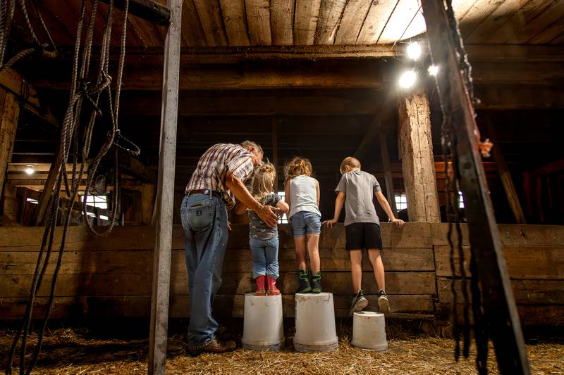 The 2025 Indiana Farm Bureau Photo Contest winning photo was captured by April Lamb of Kosciusko County.