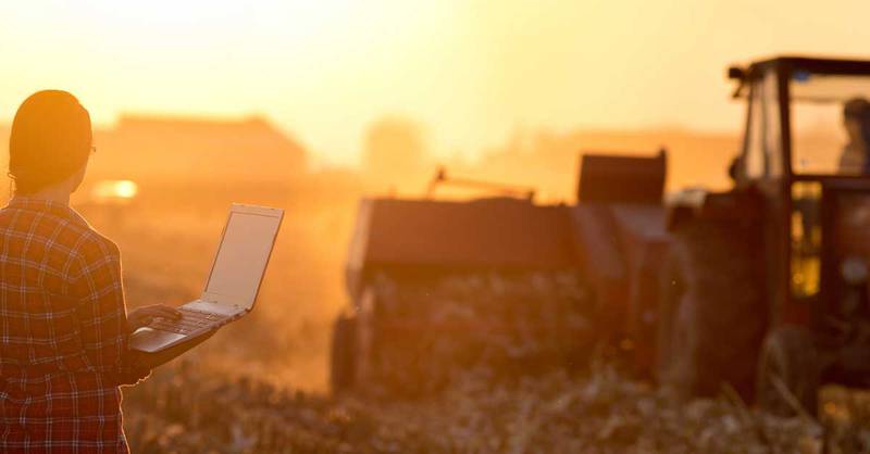 Farmers prefer to spend most of their time in the tractor or barn and less time developing financial statements. To help with this, the Center for Farm Financial Management created the Developing and Interpreting Your Financial Statements and Measures site — https://ifsam.cffm.umn.edu/ — a hub for producers looking to improve their financial management skills.