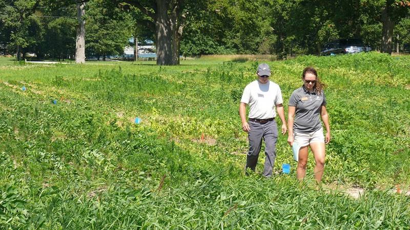 Weed Science Field Day allows participants to see research up close through plot tours.