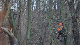 New Indiana hunting regulations in place for deer