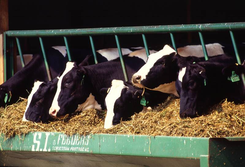 Indiana State Board of Animal Health encourages dairy producers to maintain a high level of biosecurity in their herds, including limiting traffic on and off farms; cleaning and disinfection of footwear, equipment and vehicles; and monitoring the herd for signs of illness.