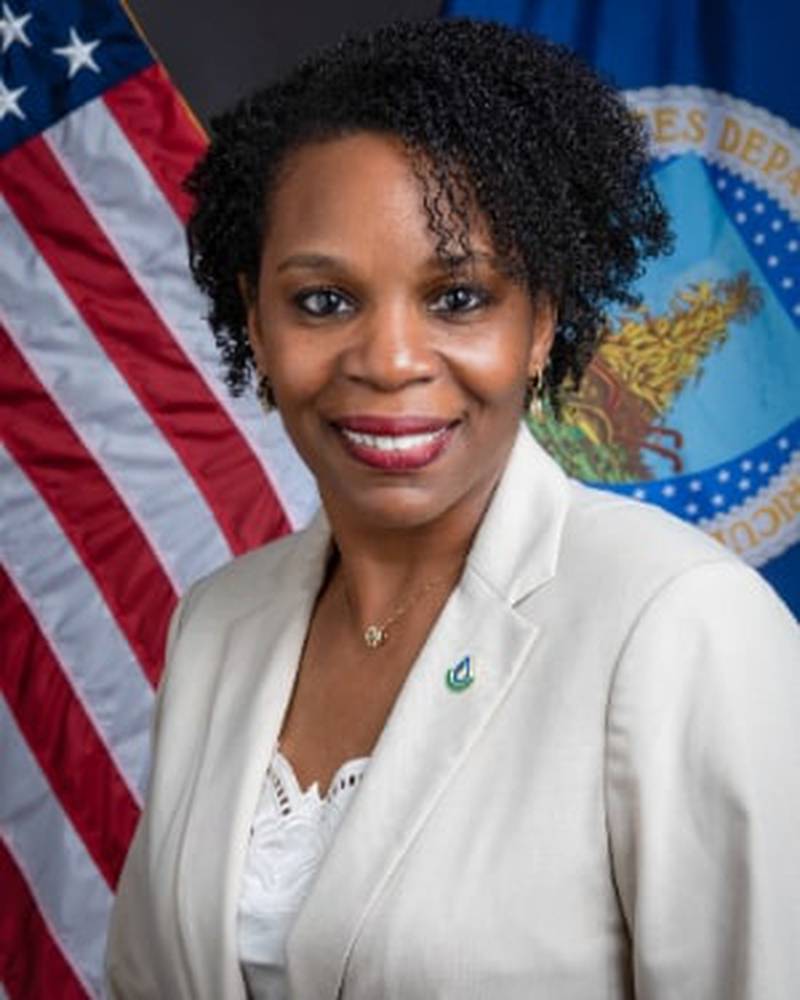 Tammy Willis