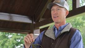 Roots feed microbes to improve soil health