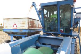 Variety Testing provides independent data