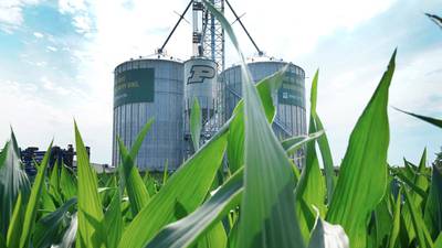Preventing grain dust explosions