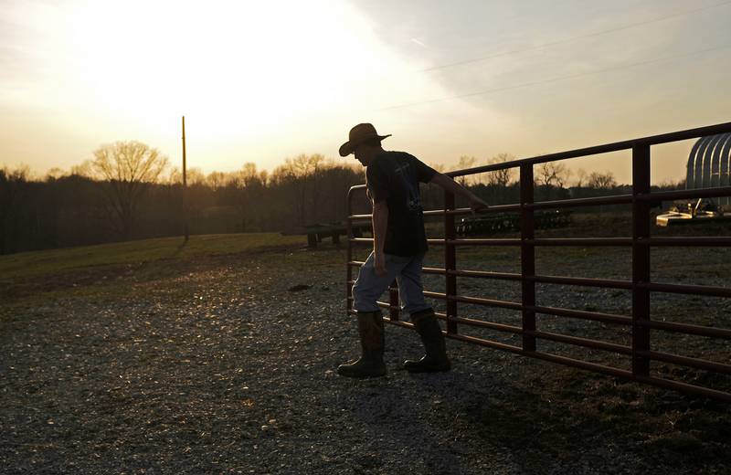 A cattleman closes the gate after checking the livestock on his farm near Anna in far southern Illinois.