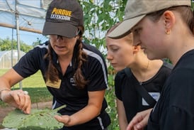 2026 Fruit and Vegetable Field Day coming July 16