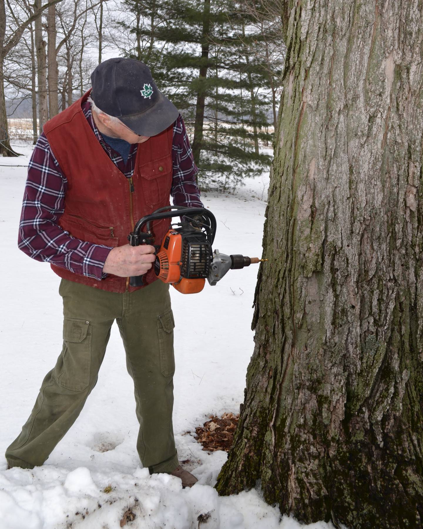 At the beginning of the 1900s, Indiana was the top state in the United States for maple production. Although no longer No. 1, Indiana farmers continue the tradition of harvesting syrup from trees. Maple syrup is considered to be a nontraditional forest product that offers a source of income for landowners while protecting native habitats for migratory birds and other fauna, according to the Indiana Maple Syrup Association.