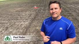 When heat, drought stress impacts corn