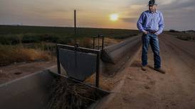Water-supply cuts in U.S. West to hammer Arizona farmers