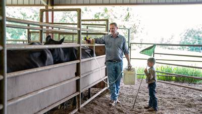 Drive cattle productivity with combination deworming