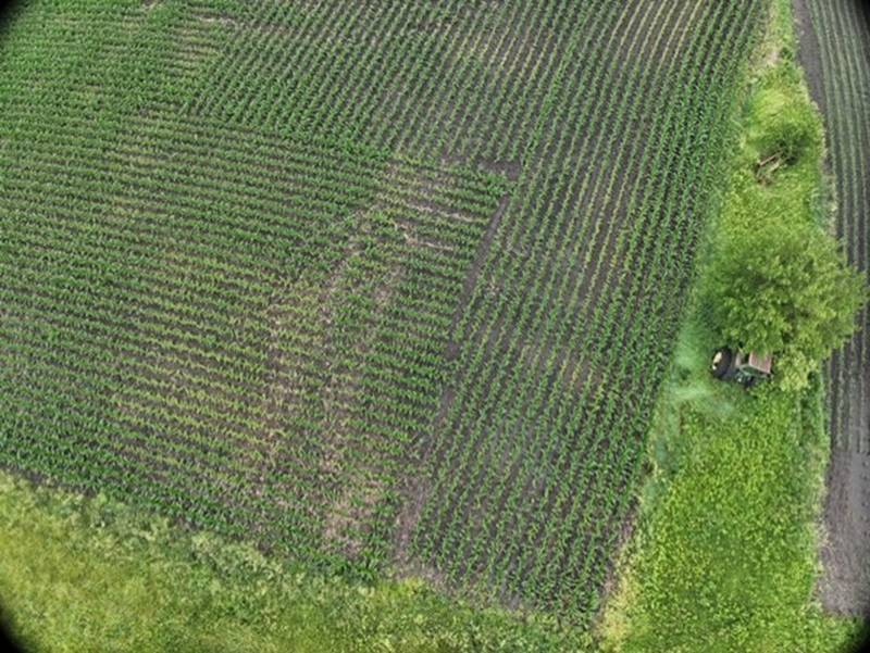 The use of drones for aerial field assessment allows farmers to quickly identify areas needing attention, optimizing resource allocation and saving valuable time.