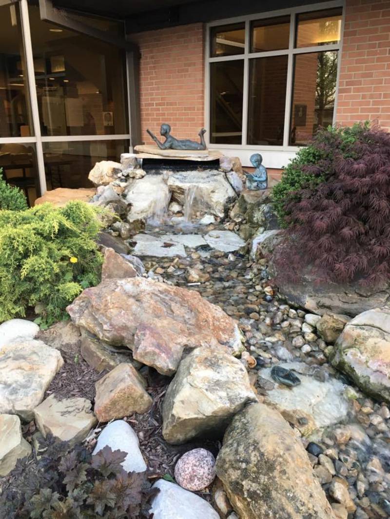 Rain gardens capture and hold rainwater temporarily, allowing it to infiltrate back into the ground instead of running off into storm drains.