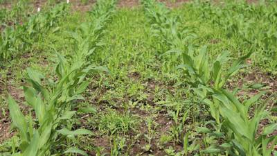 Gain an early season edge for success at harvest
