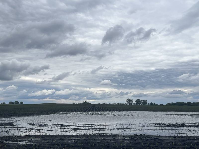 A certified wetland determination is required before modifying existing drainage.