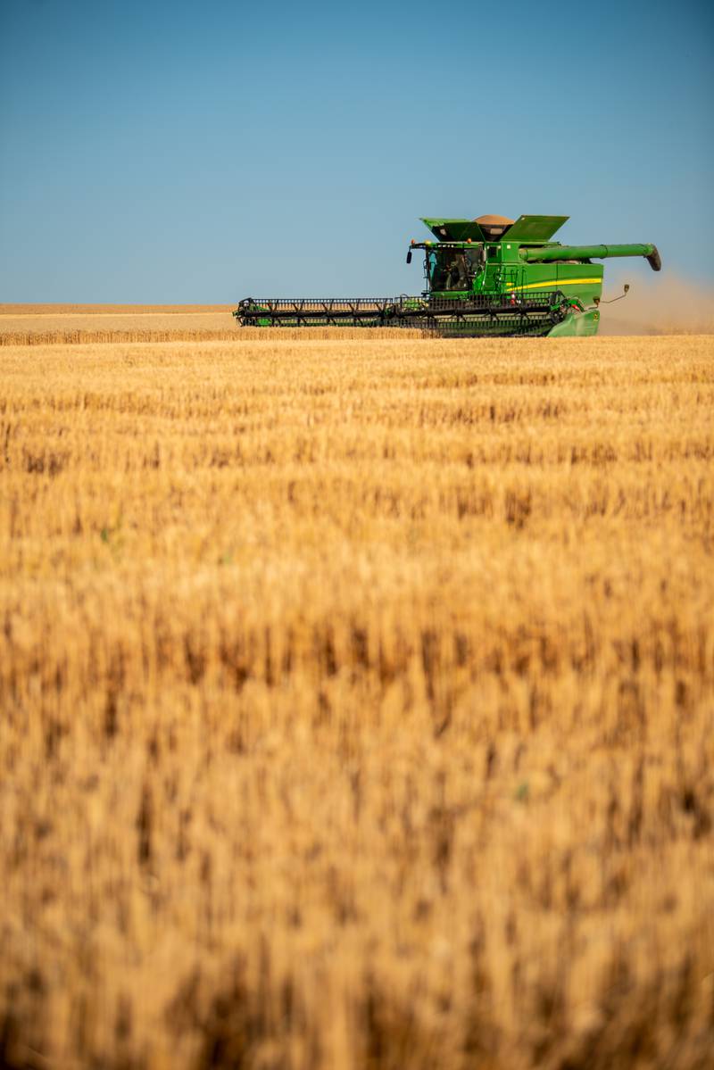 Experts at Beck’s discussed best management practices for wheat — including nitrogen, sulfur and fungicide applications — where timing makes all the difference in maximizing yield.
